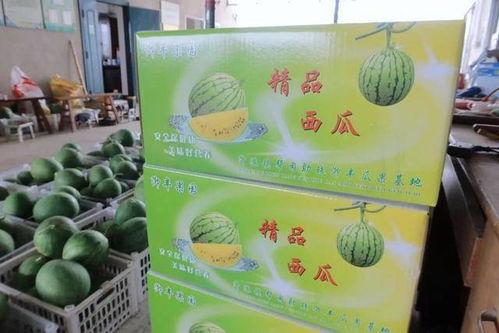 二瓜双瓜与消渴丸吃哪个好