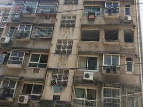 吃瓜自取视频小区,邻里互动新风尚