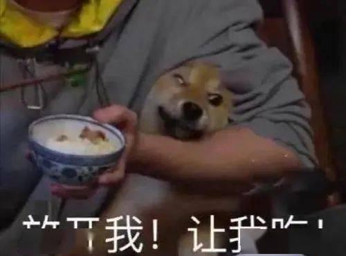 带你吃瓜大蟑螂,带你吃瓜大蟑螂背后的故事