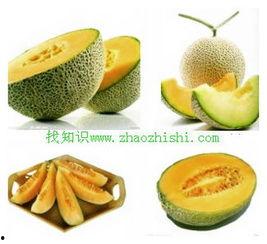 胃不好哈密瓜可以吃吗,哈密瓜还能吃吗？营养师为你解答