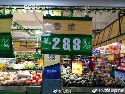 寿光全福元吃瓜,瓜香四溢，品味夏日清凉