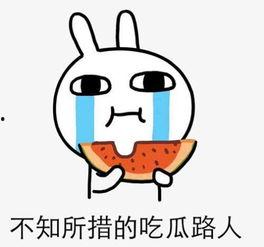 婚后吃瓜,揭秘娱乐圈夫妻的甜蜜与苦涩