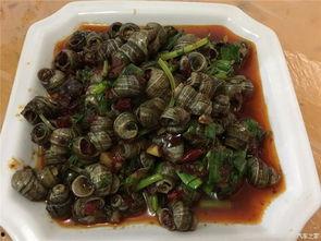 威海五一免费吃瓜,五一威海免费畅享瓜果盛宴