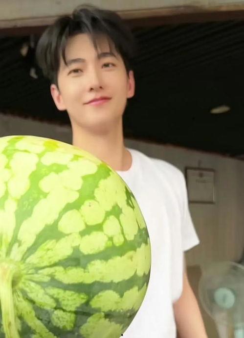 日常吃瓜杨洋,吃瓜群众眼中的娱乐圈风云人物