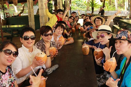 公主朝堂吃瓜,公主朝堂吃瓜记