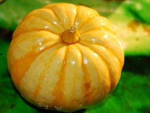 啥叫吃瓜视频,网络时代的娱乐风向标