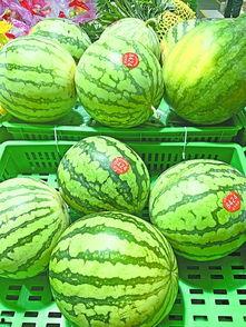 武汉最美dj吃瓜,揭秘幕后真相与网络热议