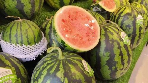 每日分享吃瓜,揭秘娱乐圈新鲜事