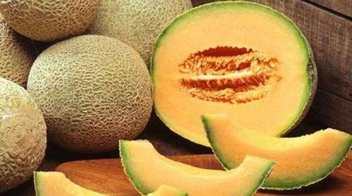 摘棉花吃哈密瓜,摘棉花品哈密瓜的甜蜜之旅