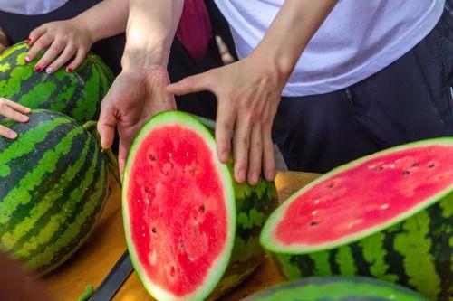 南京经管学院吃瓜,校园生活趣味瞬间大揭秘