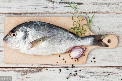 鱼爪吃瓜大赛,瓜界巅峰对决！