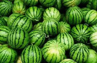 蒙自吃瓜群,揭秘当地美食文化圈