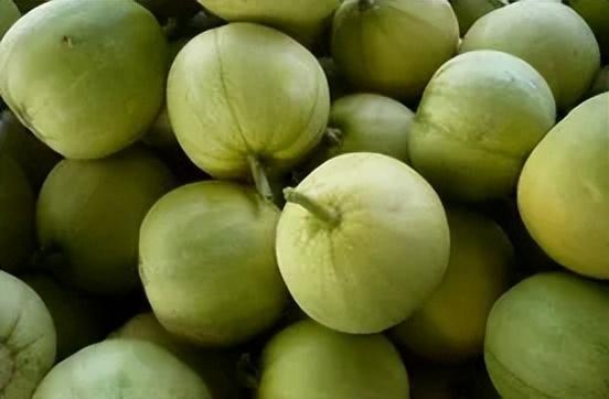 地里吃瓜都吃不明白,为何吃瓜都吃不明白？