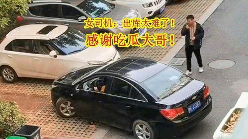 倒车吃瓜,揭秘汽车后视镜中的趣味瞬间