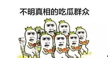 吃瓜儿子中考奖励,喜提丰厚奖励！
