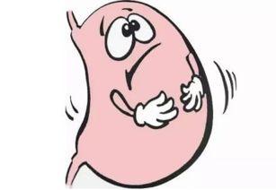 胃不舒服可以吃瓜,这些瓜类食物帮你缓解不适