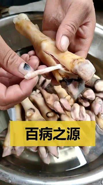哪种病不可以吃羊瓜,哪些疾病患者不宜食用