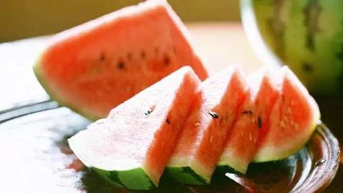 鱼爪吃瓜大赛,瓜界巅峰对决！