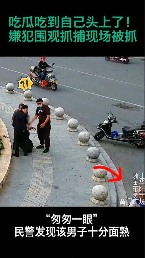 嫌疑犯吃瓜,嫌疑犯的神秘瓜缘