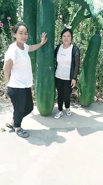 吃瓜情感类,揭秘娱乐圈的甜蜜与苦涩