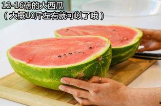 防晒吃瓜,夏日健康生活新风尚