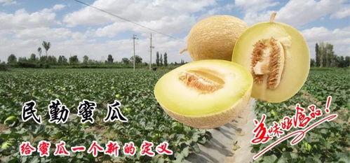 月子蜜瓜怎么吃最好,月子蜜瓜的最佳食用方法与营养益处