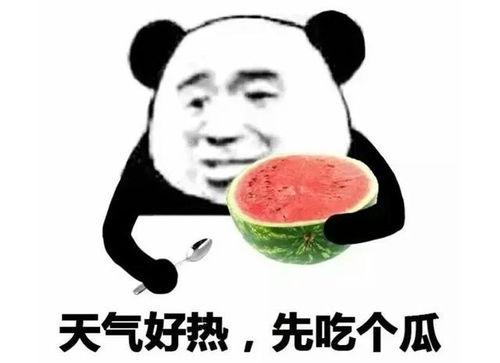 吃瓜表情的由来,网络时代的趣味与社交新宠