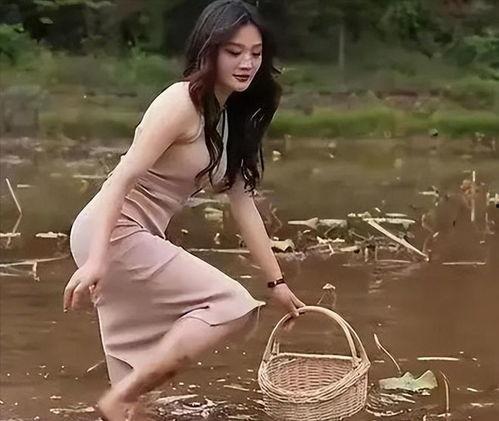 媛儿吃瓜,揭秘娱乐圈那些不为人知的幕后故事
