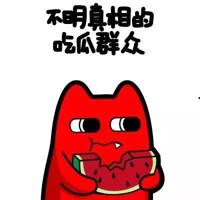 吃瓜群众苏云洛